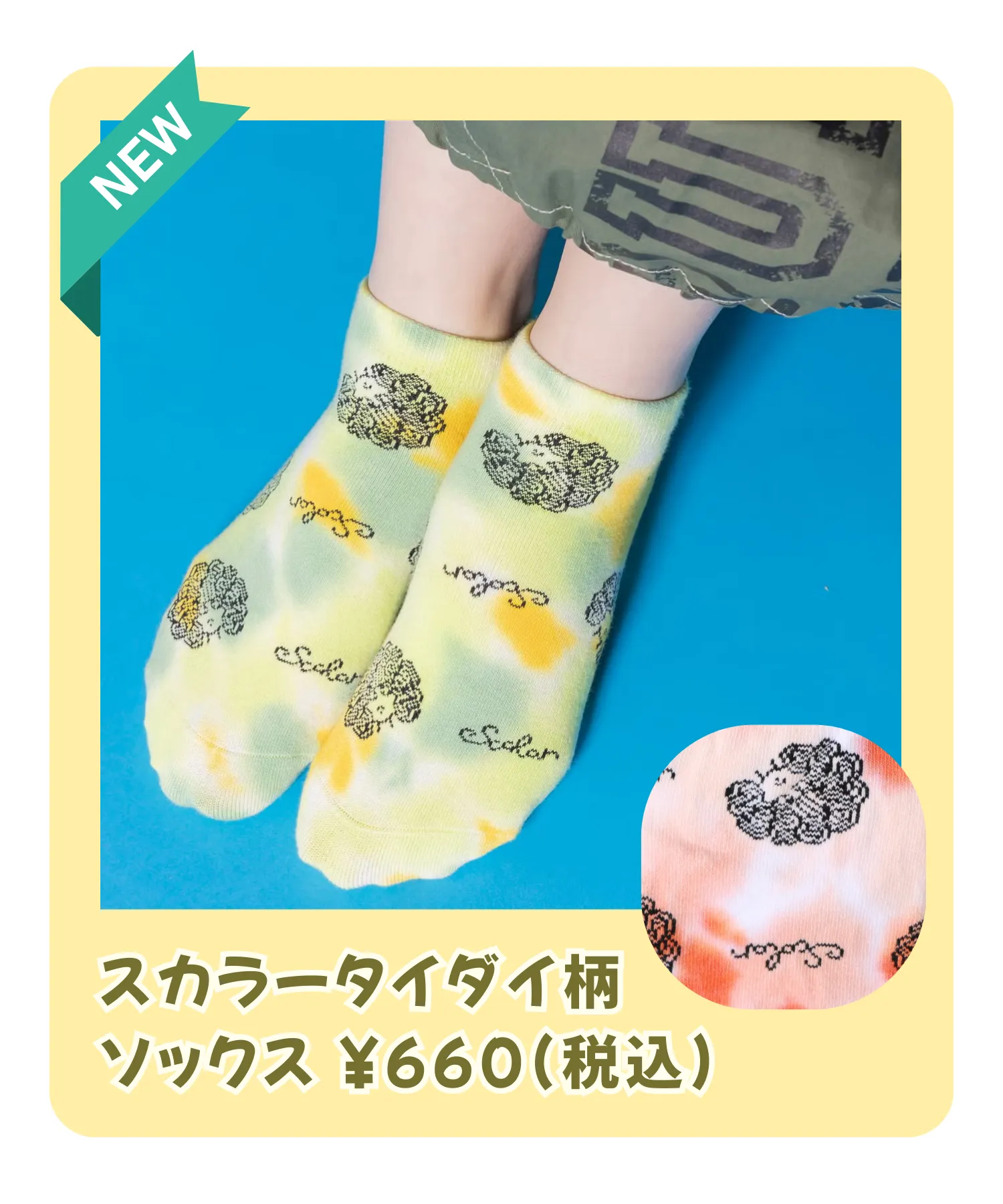 春の新作ソックス特集