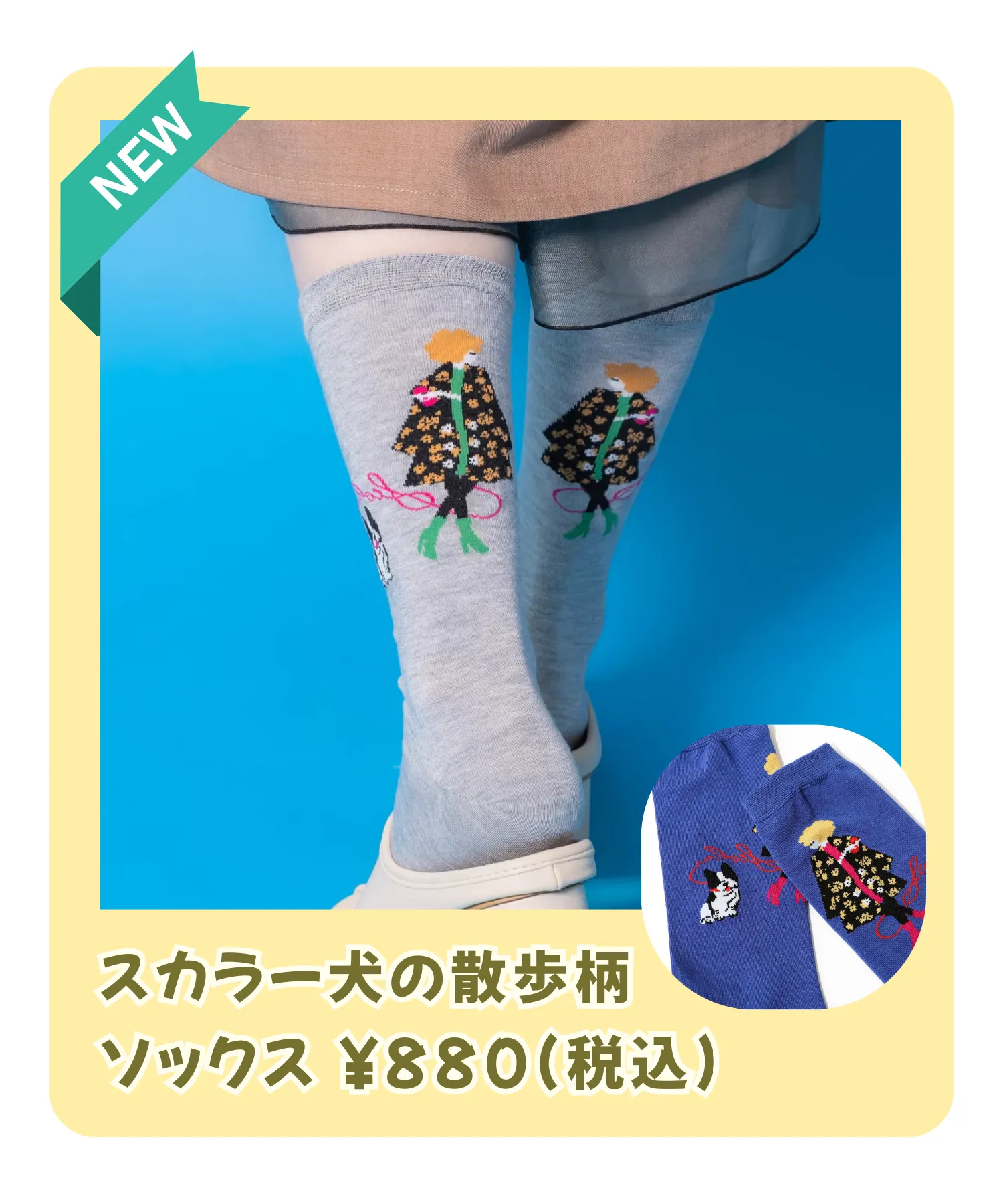 春の新作ソックス特集