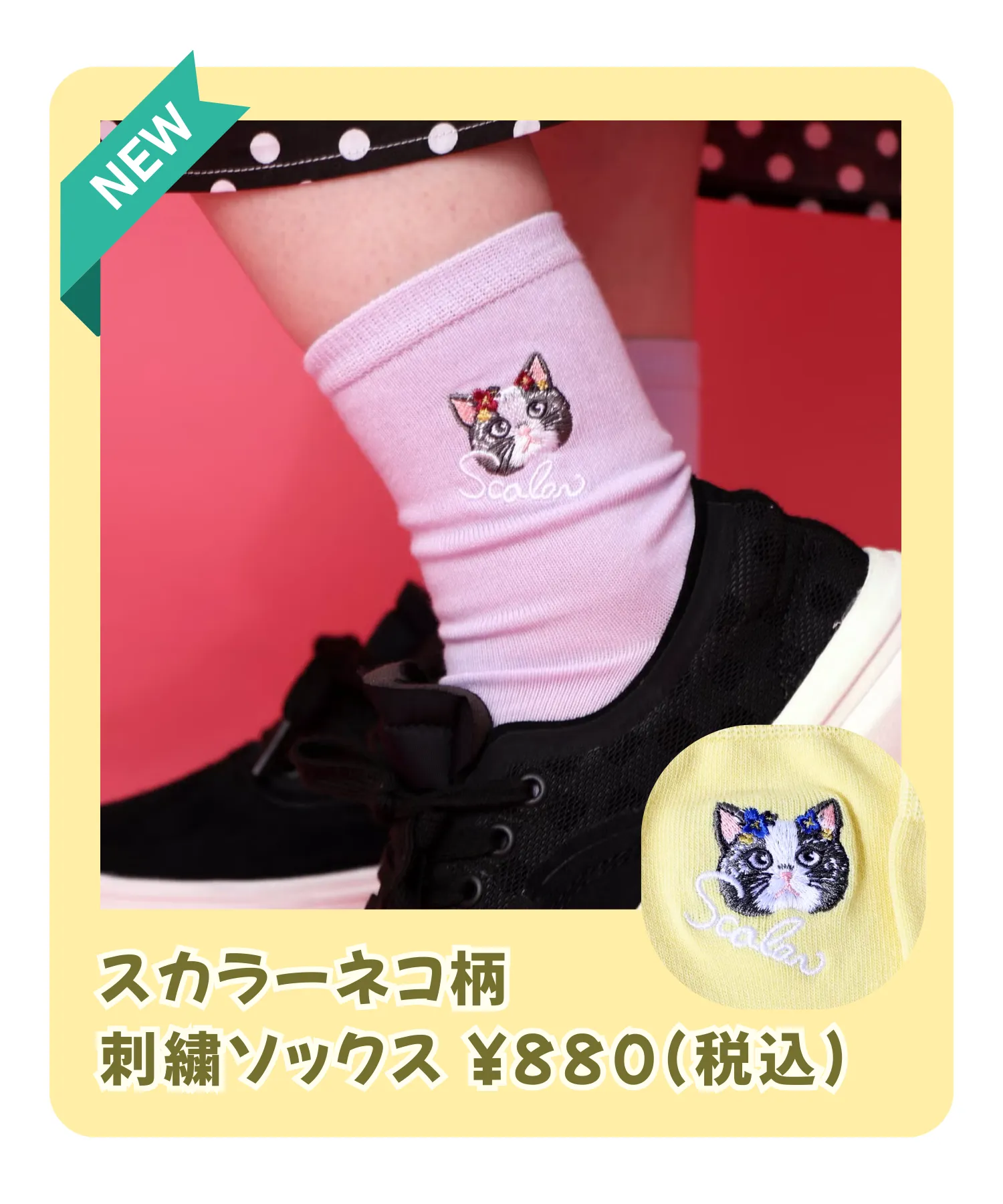 春の新作ソックス特集